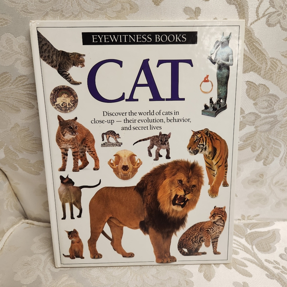 EyeWitness Vintage Books Lot Of 5! Horse, Cat, Music, Mummy , & Costume - Picture 5 of 16